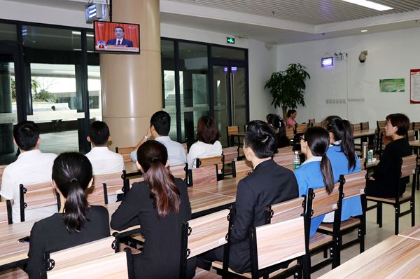 20190305085388.jpg 10.jpg